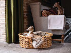 Bring The Outdoors In With Lush Bedding For Your Four-Legged Friend From Charley Chau