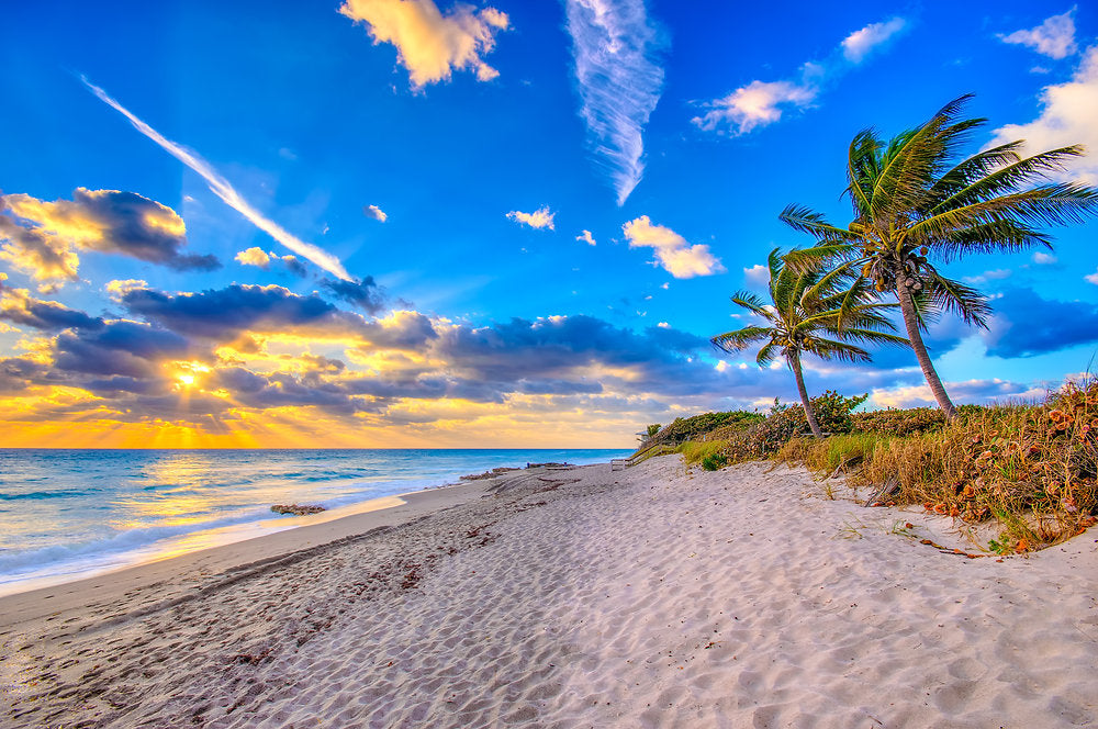 Empápate en el sol con ahorros estupendos en The Palm Beaches