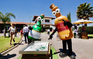 ¡Muy pronto la tercera edición del Bubbles Fest de Finca Sala Vivé de Freixenet en Querétaro!