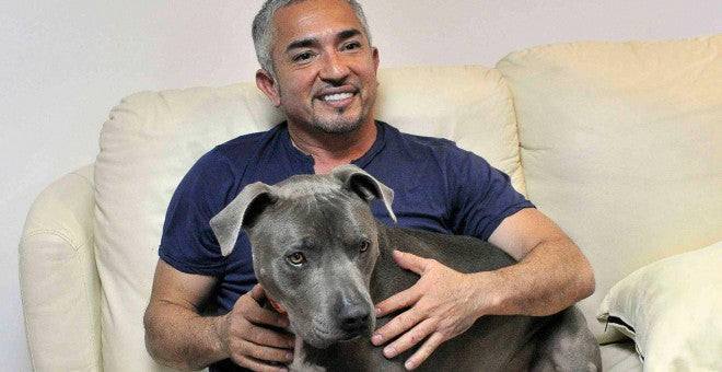 Three Six Zero appointed by Cesar Millan as his global management team