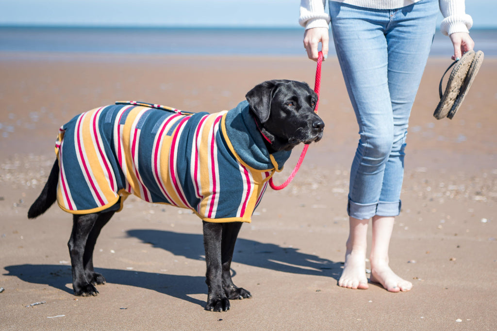 Dog Friendly Beach Wear