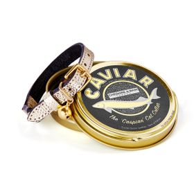Purr-fect Presents From £12