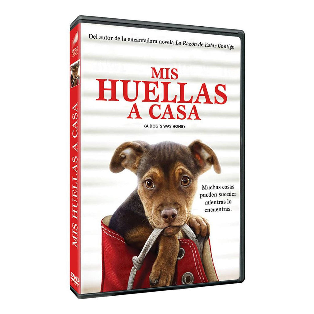 Trivia: Gana un DVD de Mis Huellas a Casa