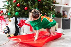 Jolly-es Days are coming