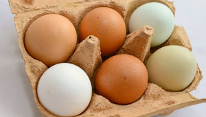 Nueva tecnología para extender vida útil del huevo