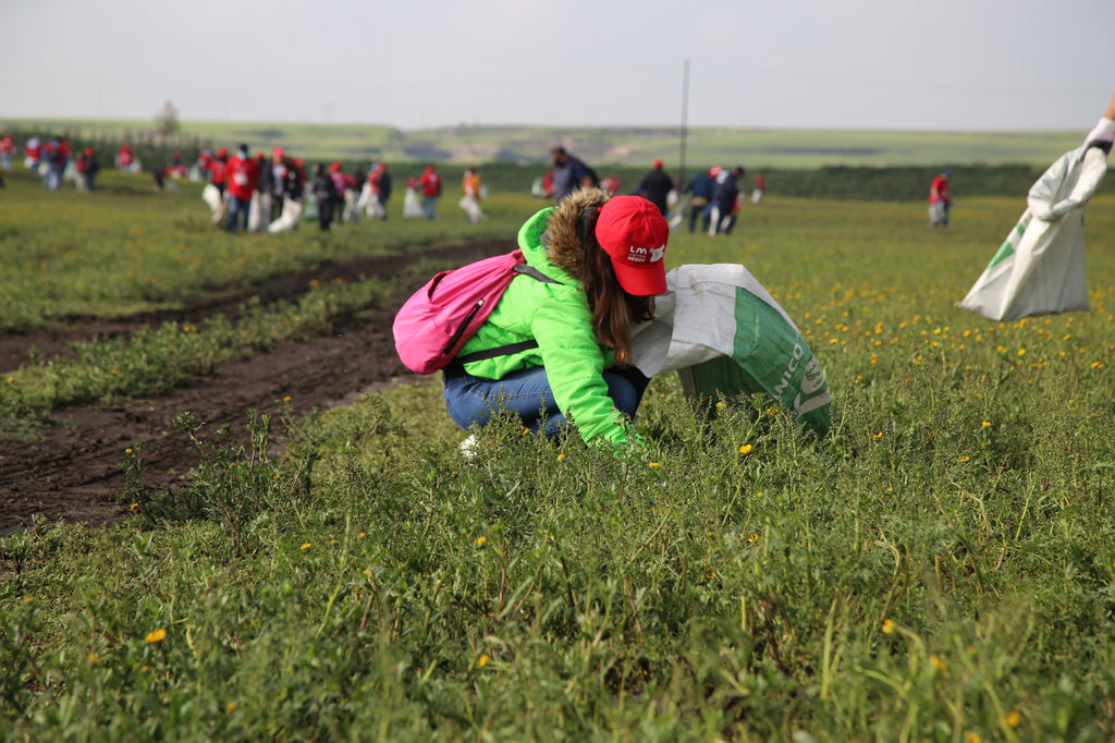 Más de 4,500 voluntarios multiplican esfuerzos en las jornadas “Limpiemos México por #UnMundoSinResiduos”
