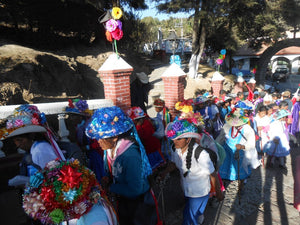 Disfruta el Carnaval Mazahua en la región del País de la Monarca