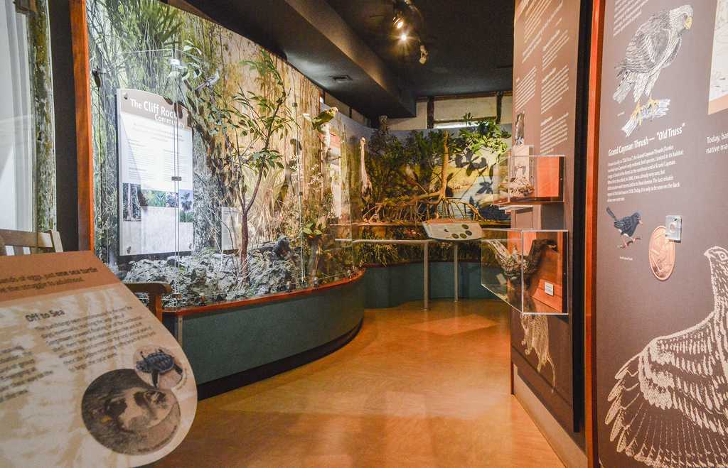 Las Islas Caimán abren su Museo Nacional y galería para inspirar a los visitantes en casa
