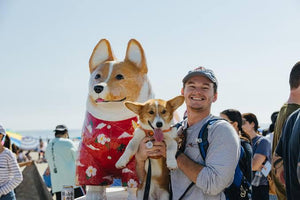 Corgi Beach Day en Huntington Beach, California: Un Día GUAU