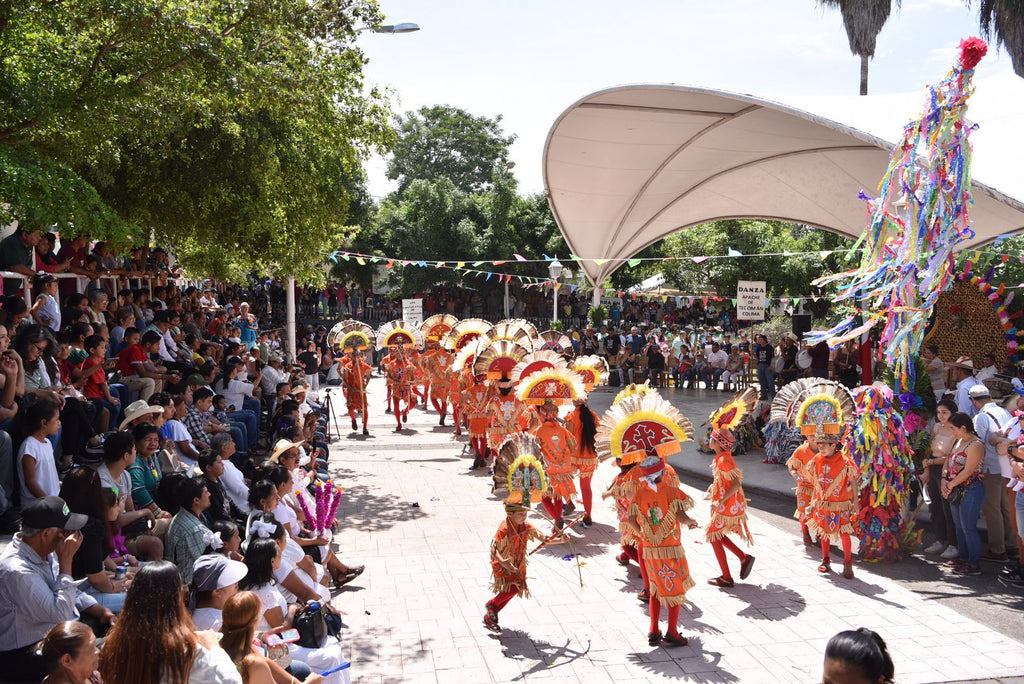 Colima vivirá el 11° Festival Tonelhuayo, una celebración de raíces
