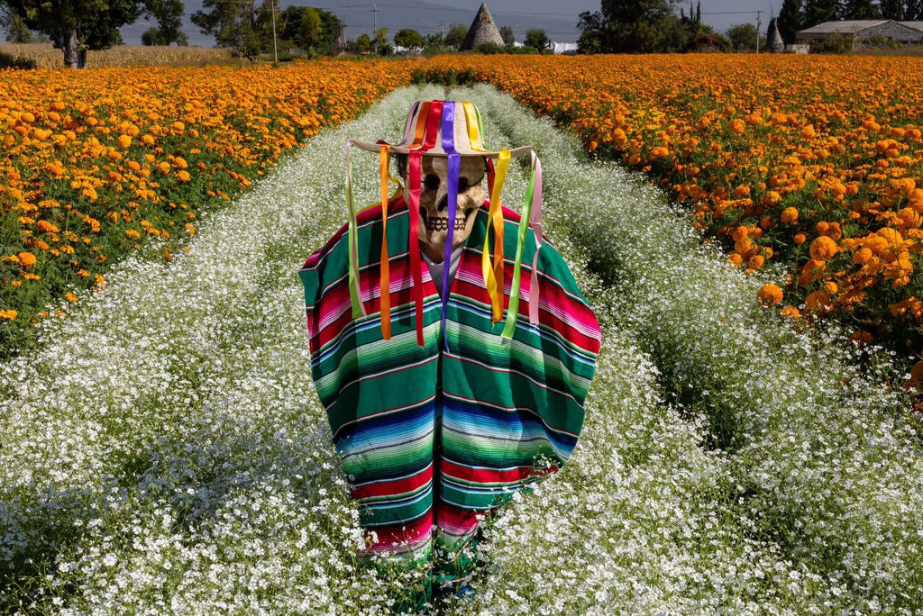 Festival de las Flores de Copándaro prepara un fin de semana lleno de tradición y color: Sectur