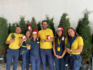 CELEBRA IKEA LA NAVIDAD CON ÁRBOLES NATURALES EN MACETA