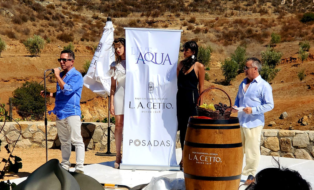 Live Aqua llegará a Ensenada en 2021