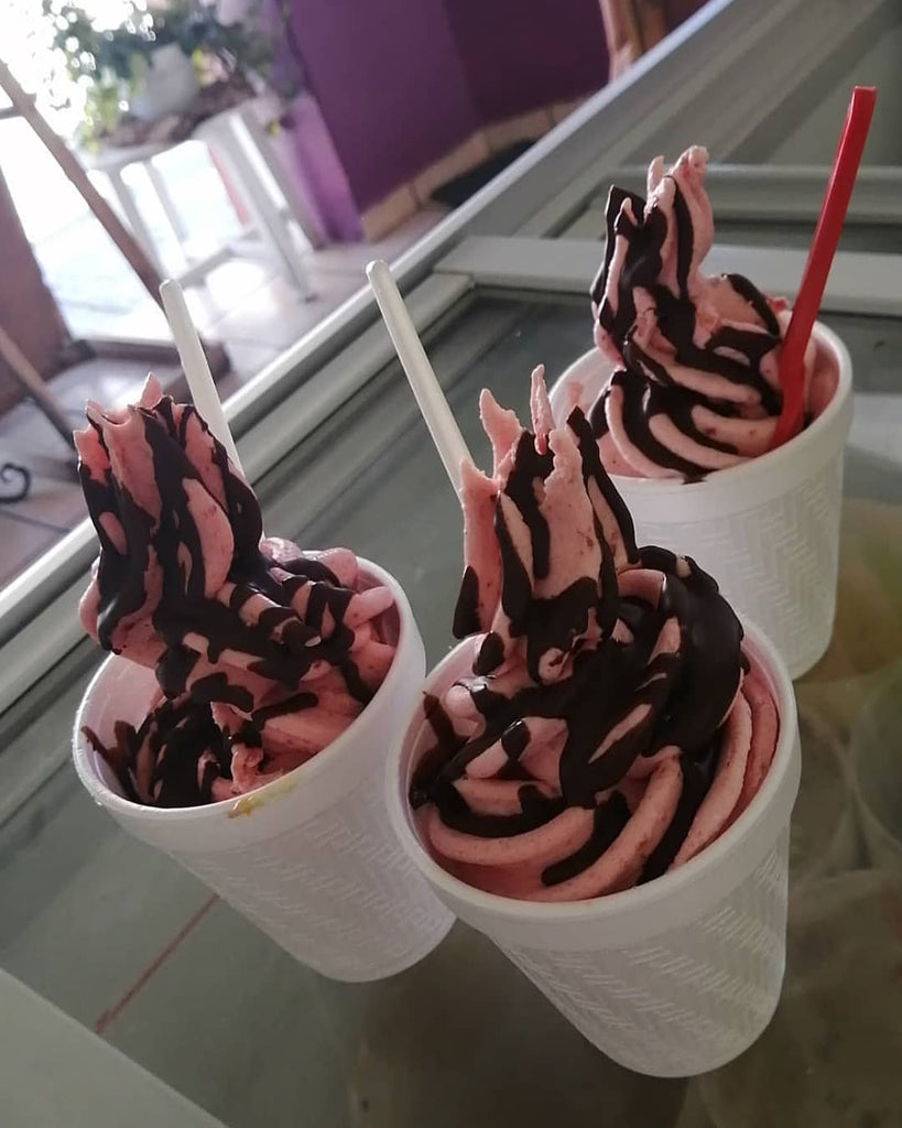 Mexticacán, Cuna del Helado y la Paleta. Un destino que te dejará frío