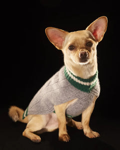 Mulberry puts surplus leather to good use with sustainable dog collection