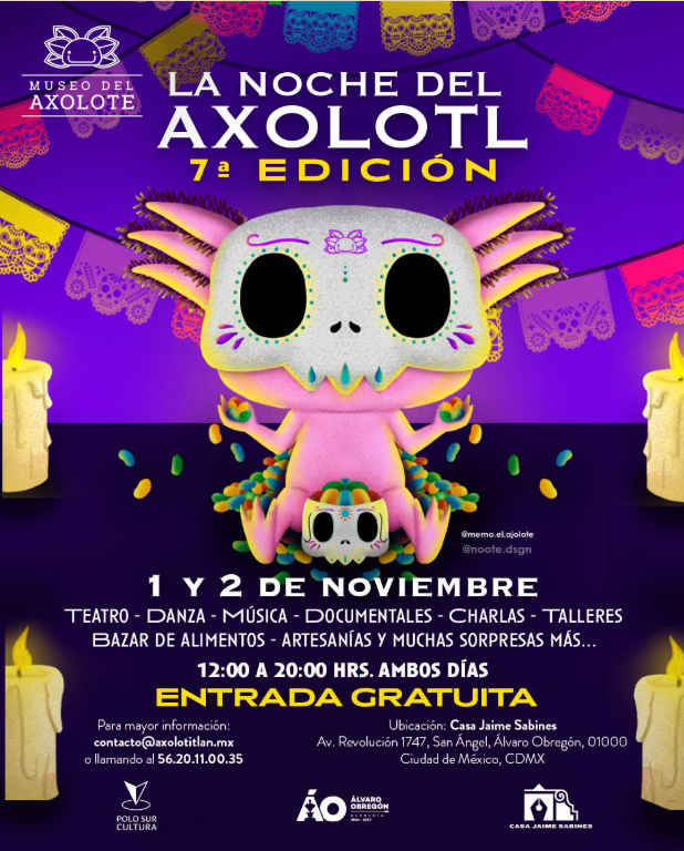 El Museo del Axolote celebra la 7ª Noche del Axolotl: con tradición, arte y conciencia ambiental