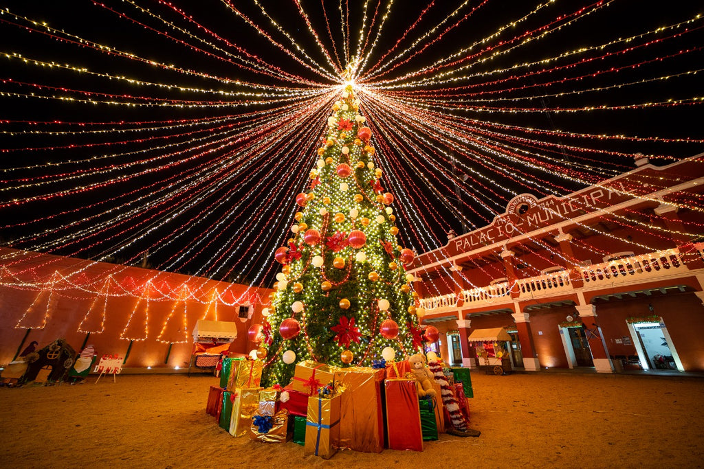 ADMIRA LAS ESTRELLAS DE LA NAVIDAD EN CANTO DEL BOSQUE
