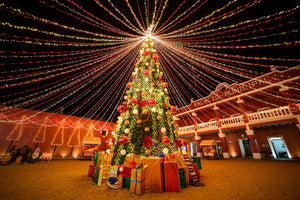ADMIRA LAS ESTRELLAS DE LA NAVIDAD EN CANTO DEL BOSQUE