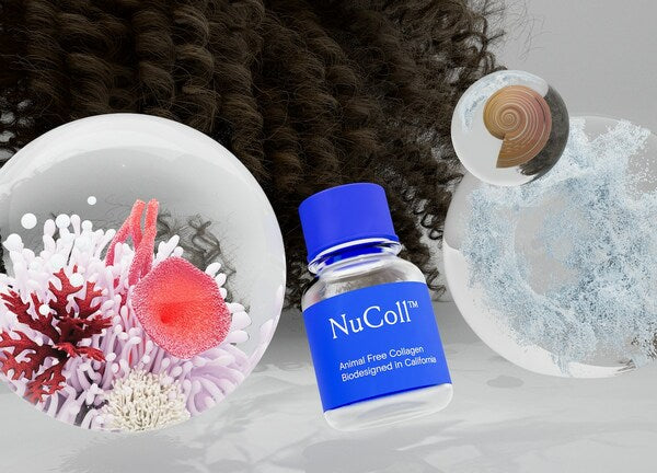 Geltor expands into hair care with the commercial launch of NuColl™