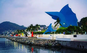 Manzanillo: Playas, hoteles y actividades para un viaje perfecto