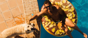 5 hoteles pet friendly para vacacionar con tu mascota en Puerto Vallarta