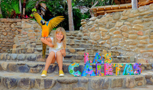 Aventura en familia: experiencias imperdibles para niños y adolescentes en   Vallarta y Los Cabos