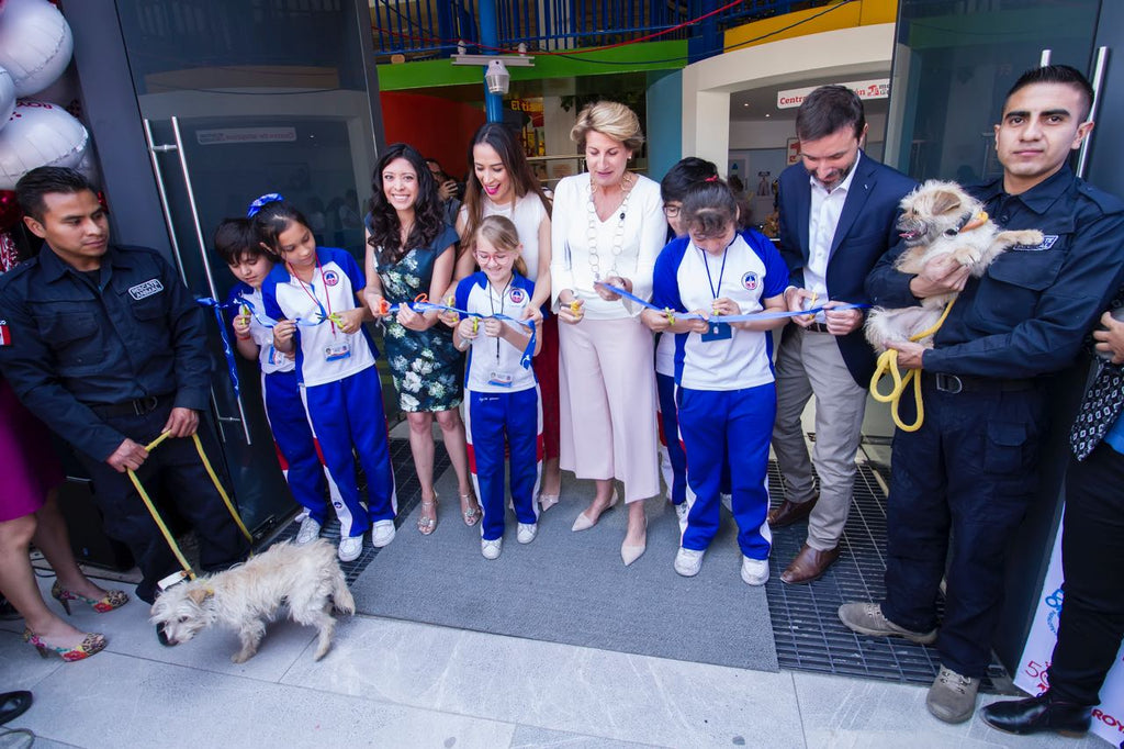 Royal Canin inaugura la exhibición “Uno Menos en la Calle” en Papalote Museo del Niño