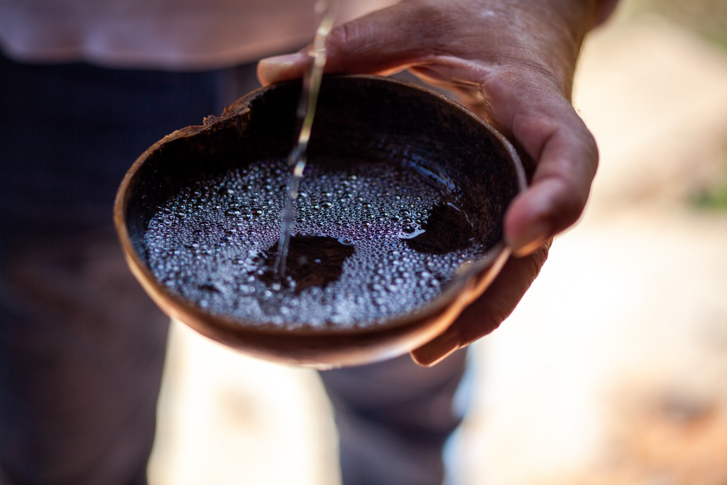 Descubre la Ruta de la Raicilla en Costalegre, el camino para degustar la tradicional bebida jalisciense