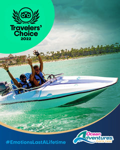 THE DOLPHIN COMPANY BRANDS WERE RECOGNIZED IN THE TRAVELERS' CHOICE AWARDS