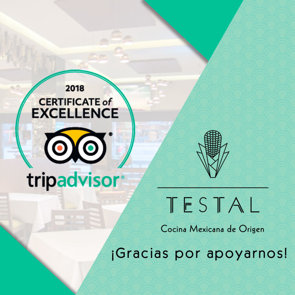RESTAURANTE TESTAL RECIBE EL CERTIFICADO DE EXCELENCIA