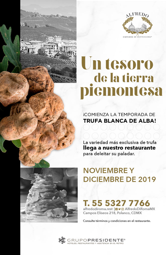 LA TEMPORADA DE TRUFA BLANCA LLEGA AL RESTAURANTE ALFREDO DI ROMA