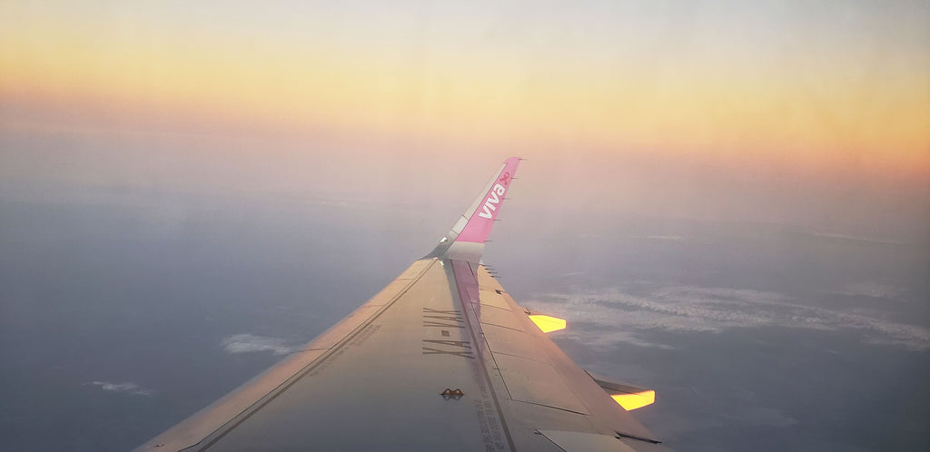Pinta de rosa Viva Aerobus las alas de un avión y sus uniformes, sumando esfuerzos contra el cáncer de mama