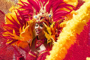 El Carnaval de Río: el logo de Brasil