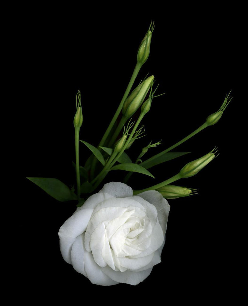 FLOWERS FOR MOTHER