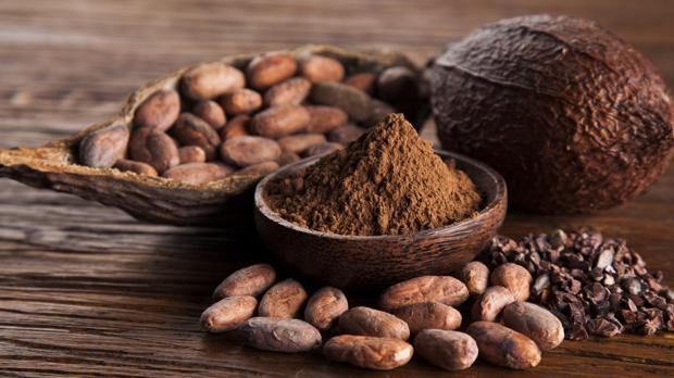 ¡Palmers celebra en Septiembre al Cacao!