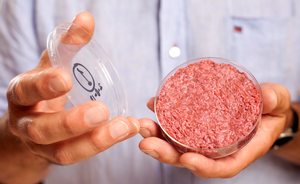 ¿Cuál es el interés nutricional de la carne artificial?