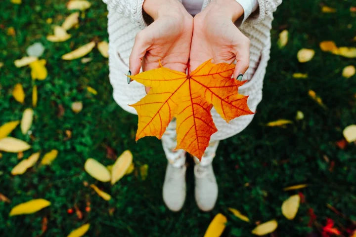 5 tips para que tu fragancia dure por más tiempo durante el otoño