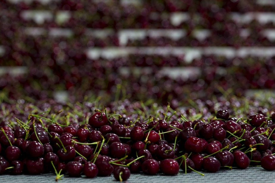 Cerezas de Verano en México ¡Bienvenido verano rojo!