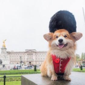 Le Corgi Official Collection To Home From London
