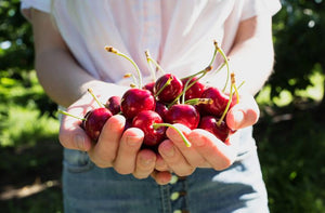 ¡Prepárate para un verano lleno de cerezas!