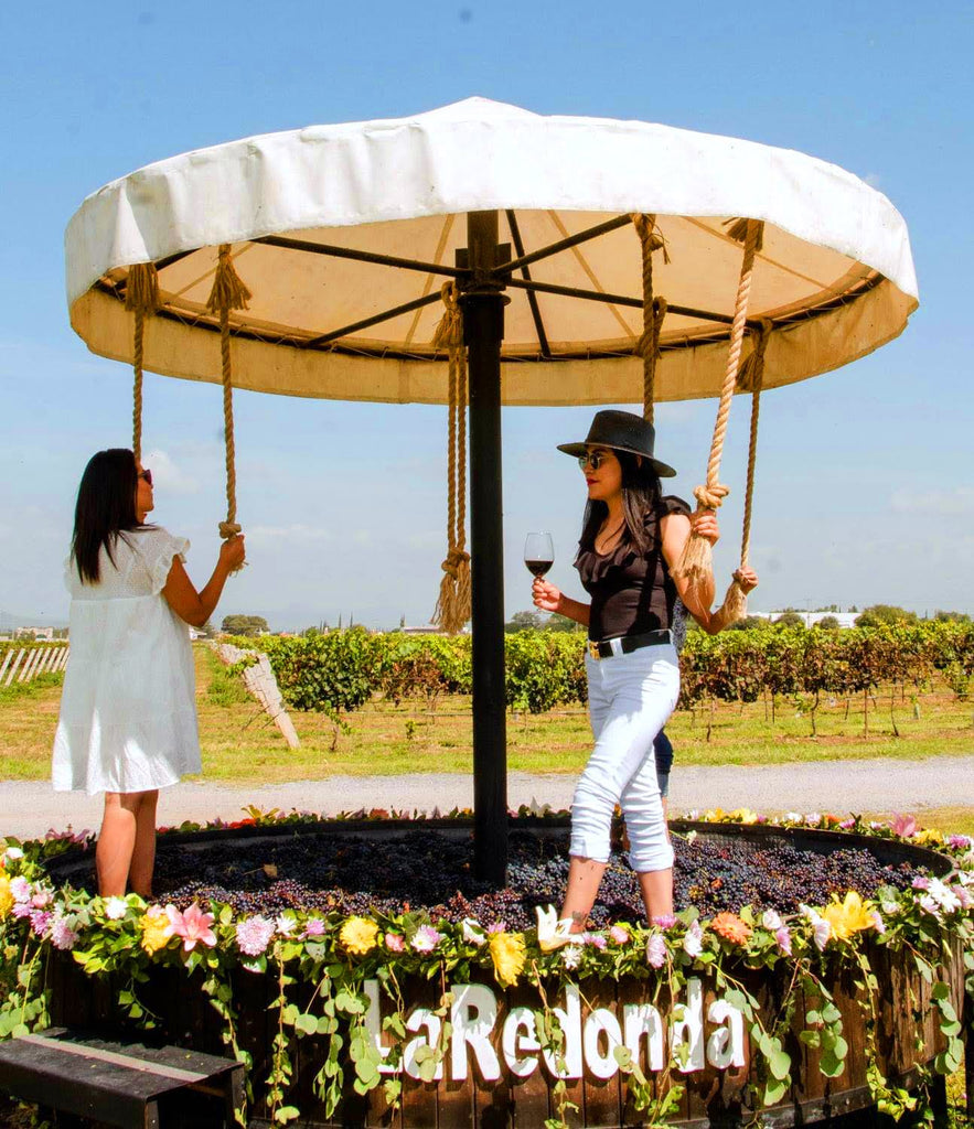 TEMPORADA DE VENDIMIA EN VIÑEDOS LA REDONDA: ¡ENTRADA LIBRE!