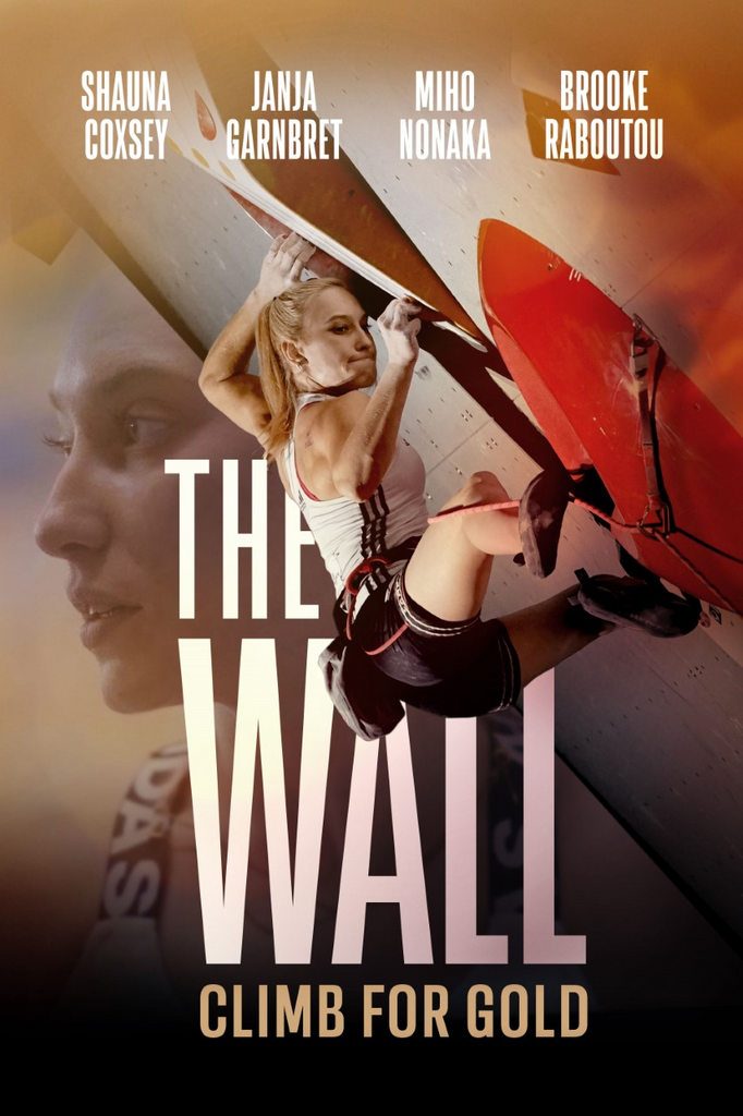 "THE WALL - CLIMB FOR GOLD"