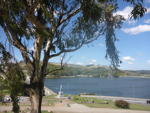 Tandil  Una experiencia para todo el año