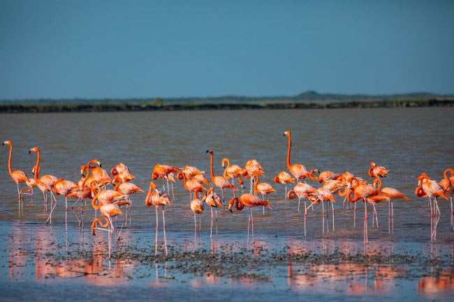 Escape to a Quiet Vacation in Yucatan’s Best Beaches