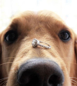 ¿Cómo conseguir la foto perfecta de tu anillo?