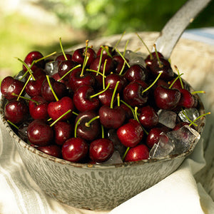 ¡Preparémonos para la cosecha! La temporada de cerezas de verano está a punto de comenzar.