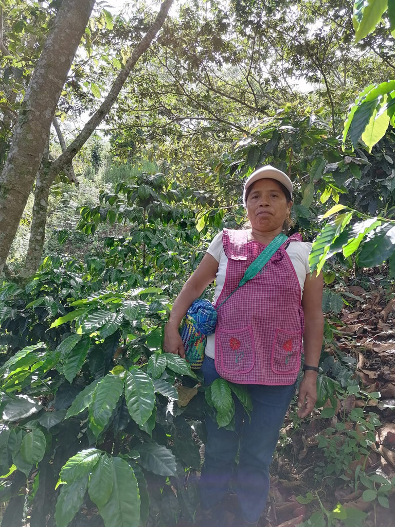Starbucks México celebra a las mujeres de la industria del café