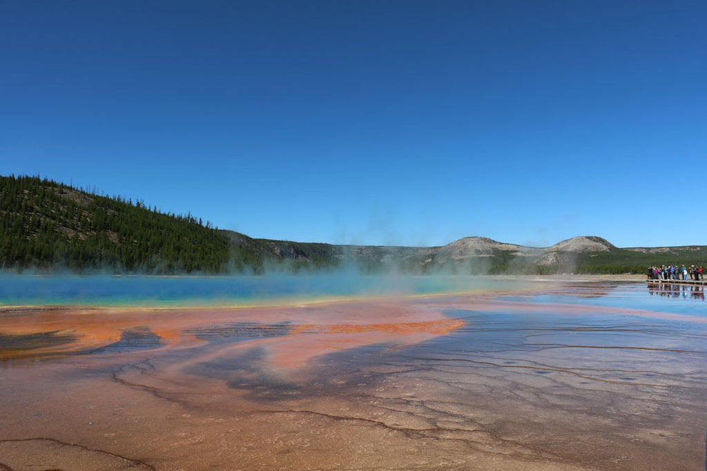 Descubre la belleza del Parque Nacional de Yellowstone, uno de los primeros Parques Nacionales de Estados Unidos