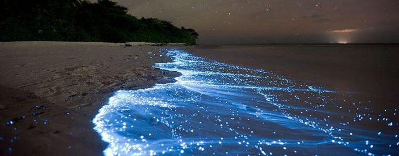 Verano luminoso en Holbox