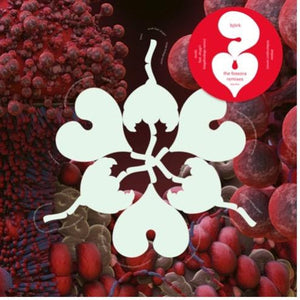 Björk
